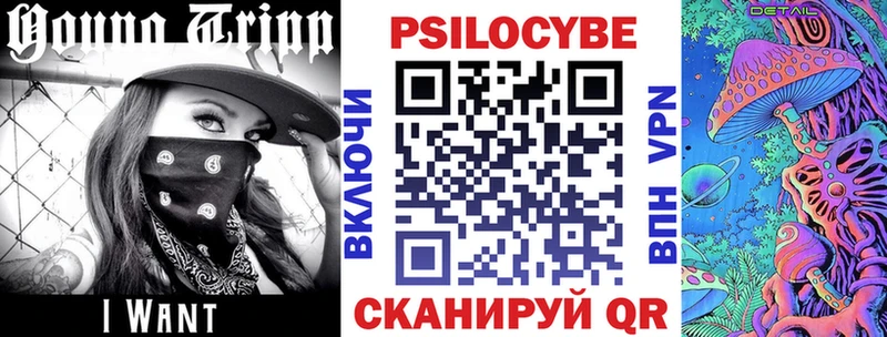Псилоцибиновые грибы Psilocybe Олонец